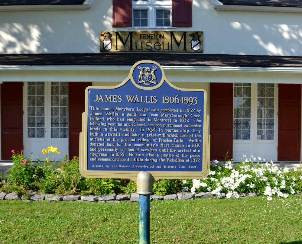 Fenelon Falls Museum景点图片