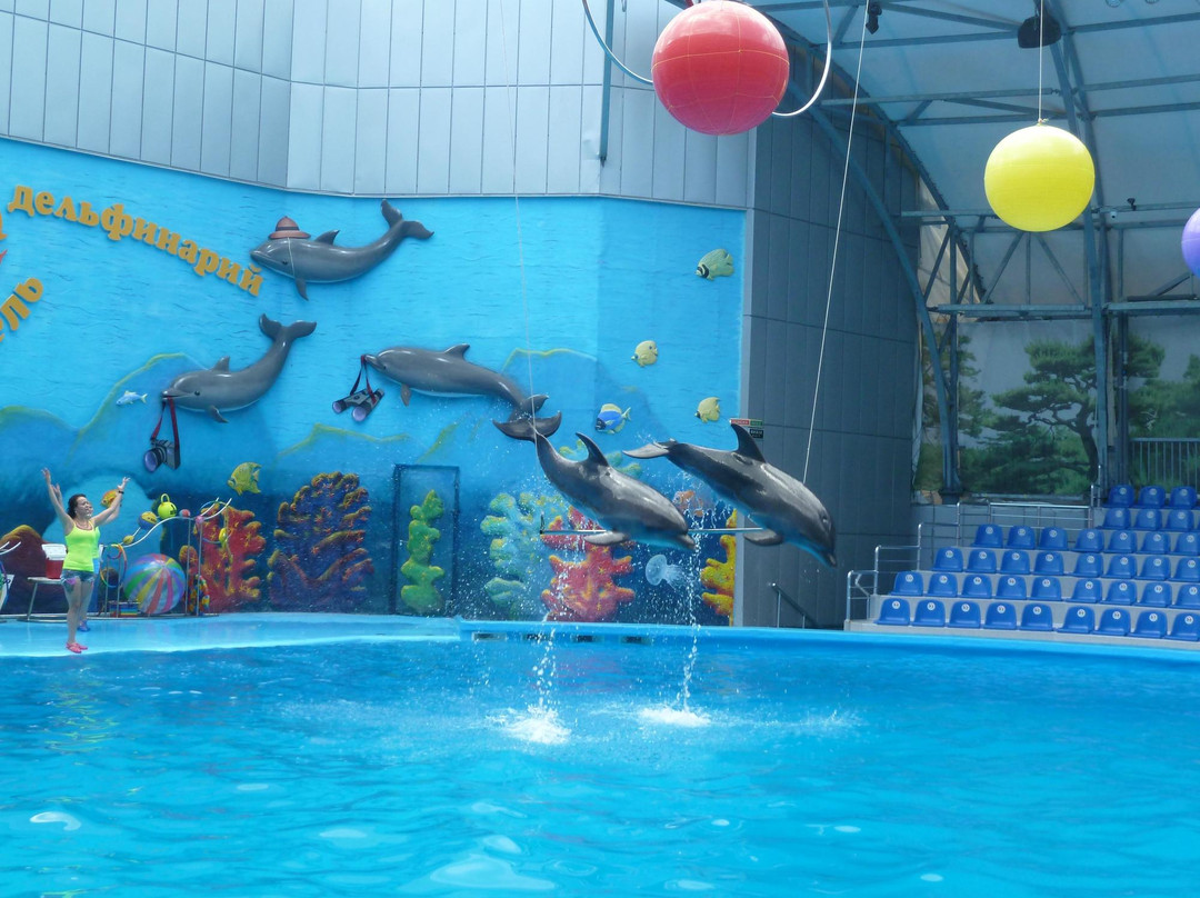 Dolphinarium Akvarel-阿卢什塔必去景点