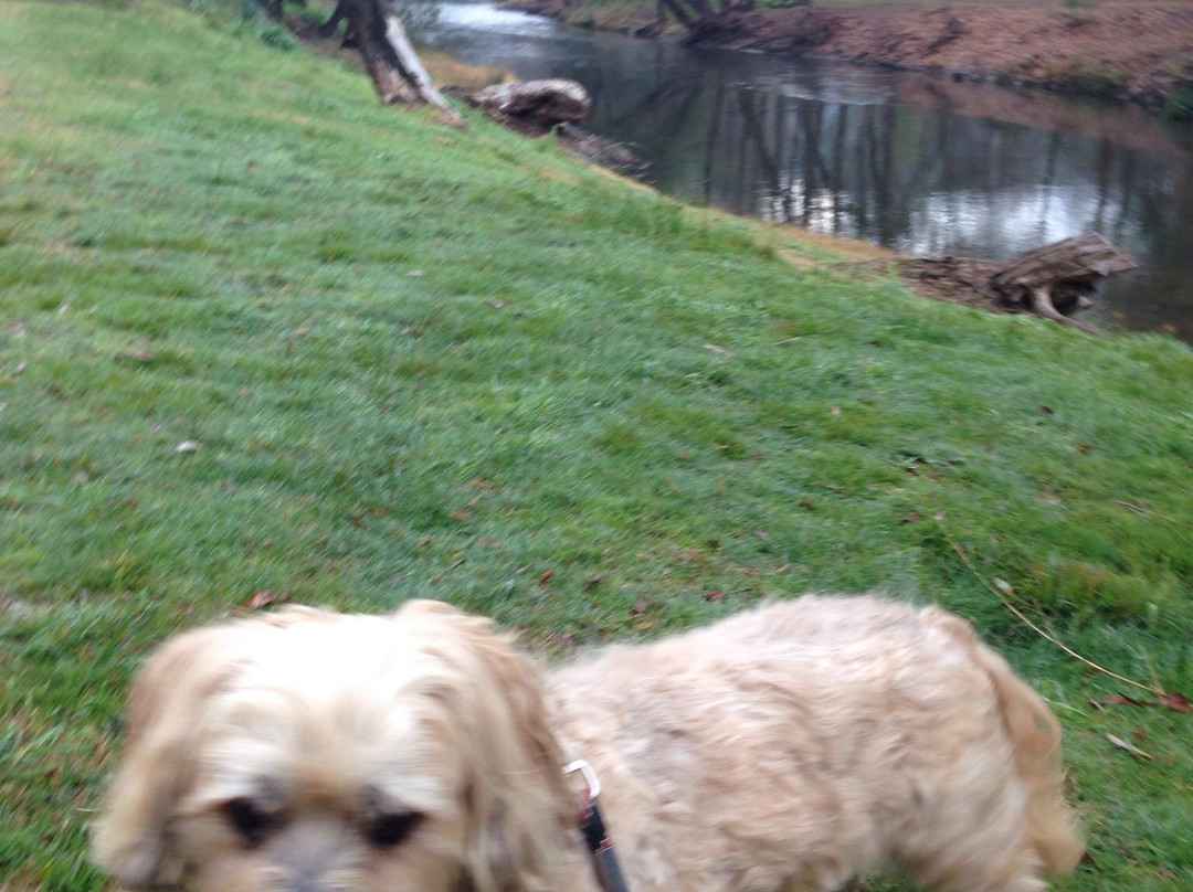 Canyon Walk-布赖特必去景点