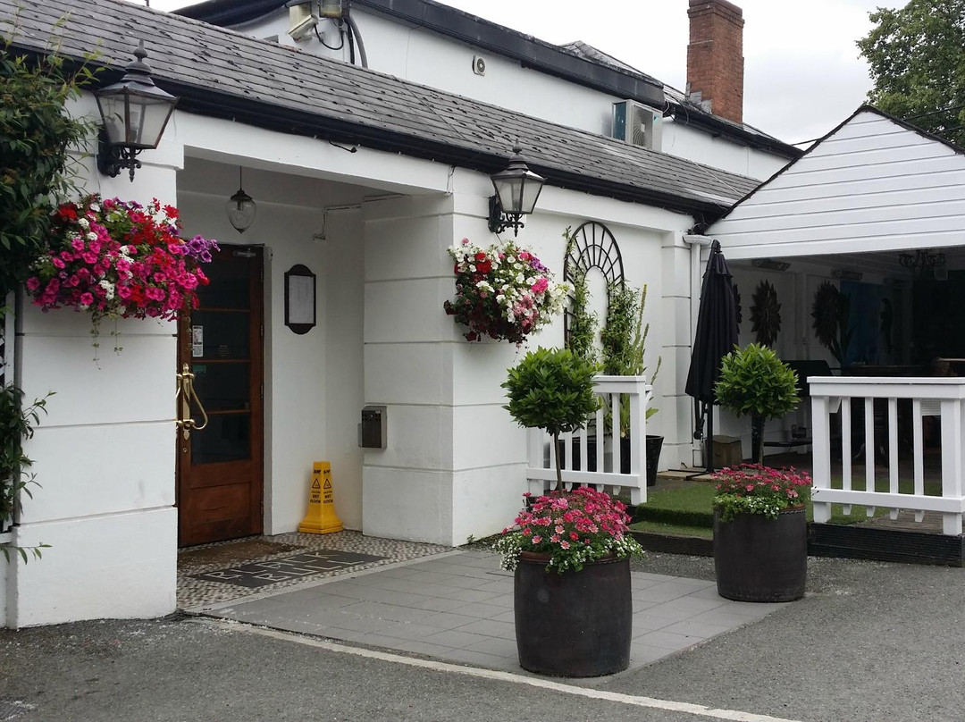 Black Bull Inn-Drogheda必去景点