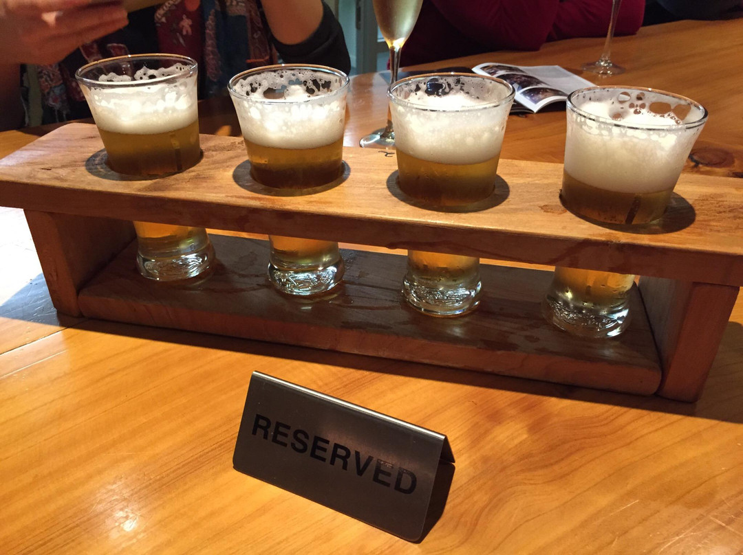 Tuatara Brewery-帕拉帕拉乌姆必去景点