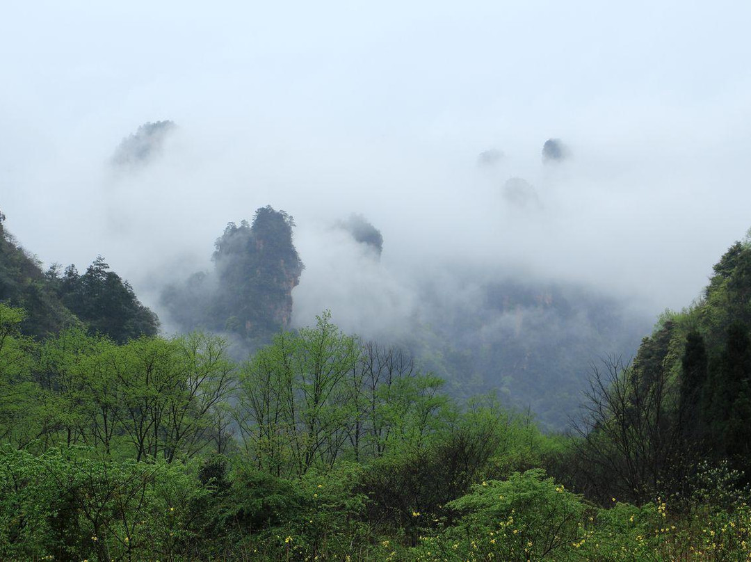 张家界武陵源风景名胜区-张家界市必去景点