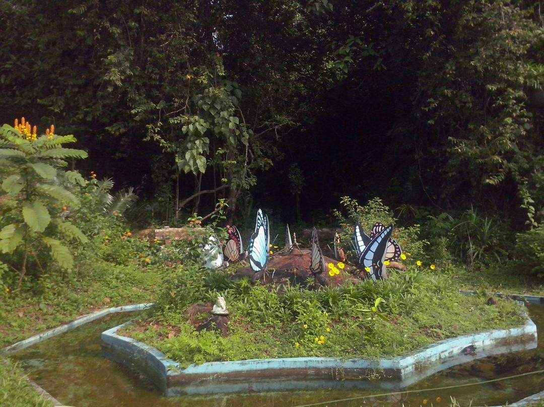 Butterfly Safari Park景点图片
