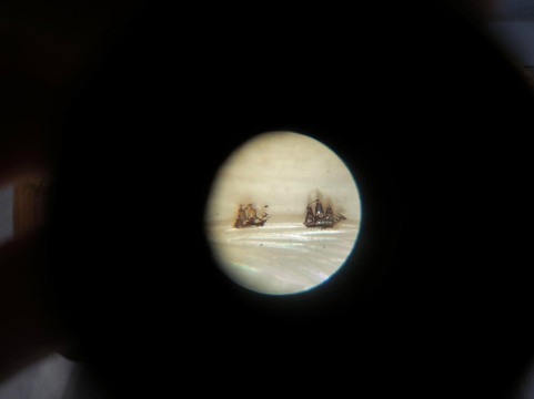 Museum of Miniatures-布拉格必去景点