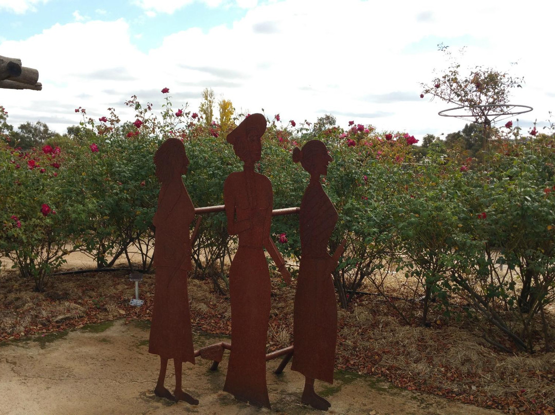 Kojonup Visitor Centre-Kojonup必去景点