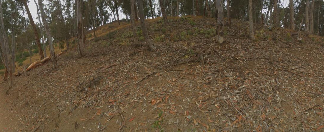 Hosp Grove Trails-卡尔斯巴德必去景点