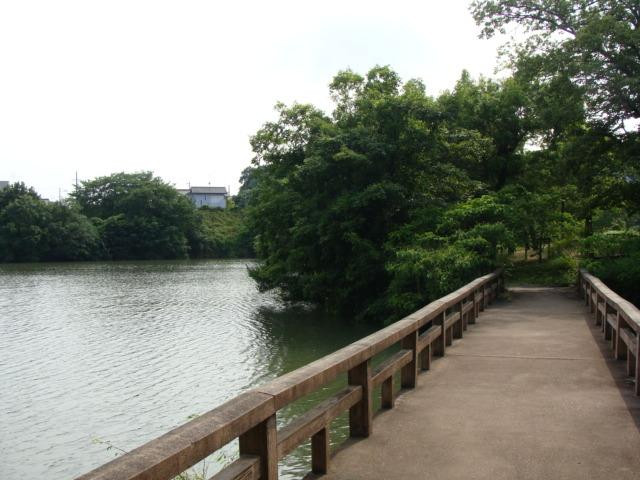 Ano Central Comprehensive Park景点图片