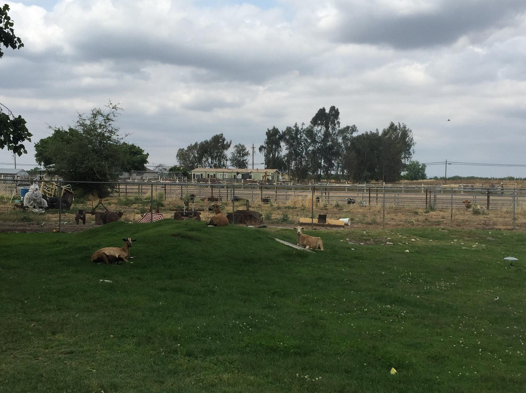 Oakdale Cheese & Specialties-奥克戴尔必去景点