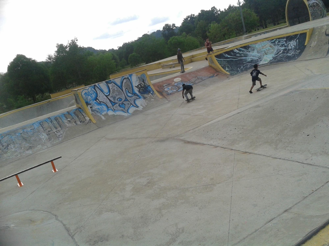 The Jungle skatepark景点图片