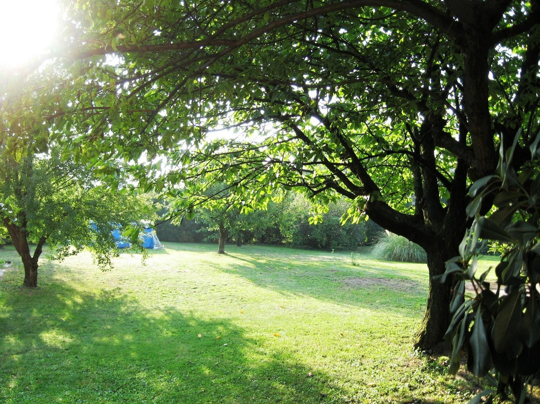 B&B L'Acero Rosso主图