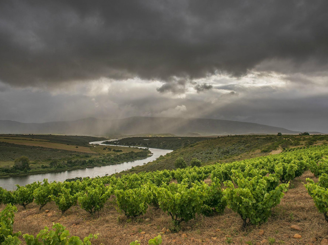 Malagas旅游景点-Sijnn Winery