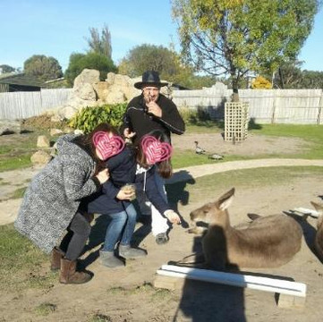 Mr. John Tours-墨尔本必去景点