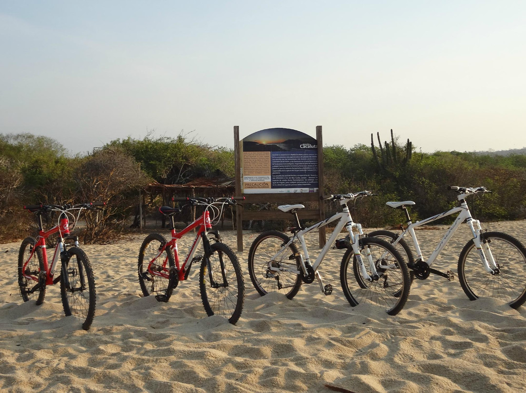 Easy Bikes Huatulco-Crucecita必去景点