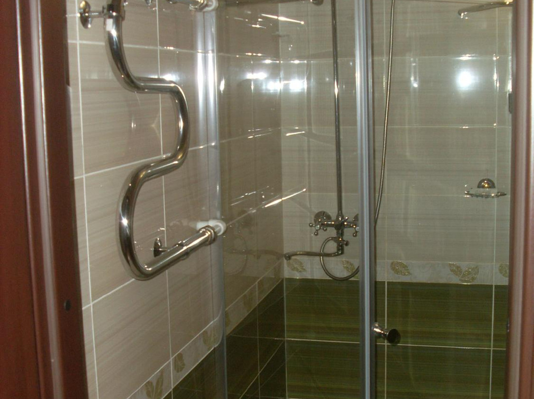 Petrovsky Hotel主图