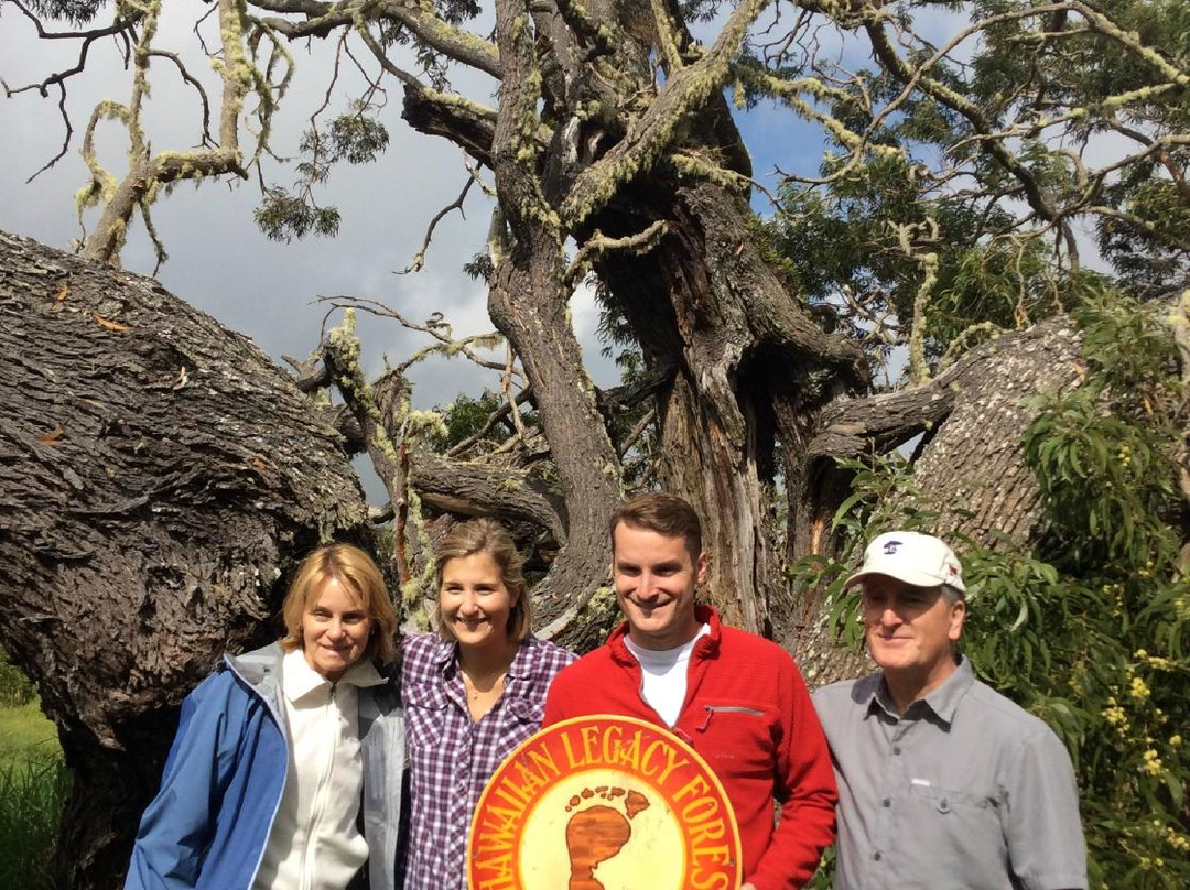 Hawaiian Legacy Tours-希洛必去景点