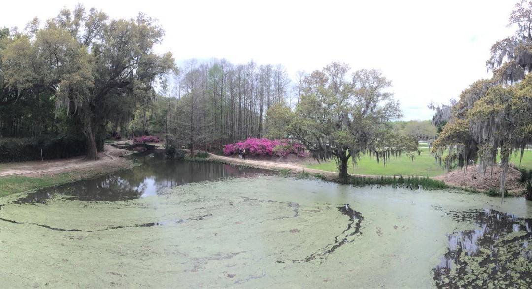 Jungle Gardens景点图片