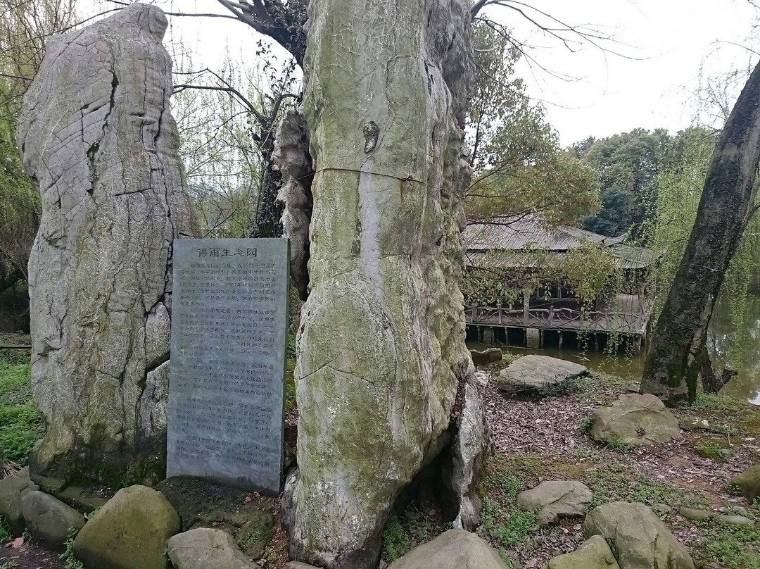得雨生态园-浮梁县必去景点