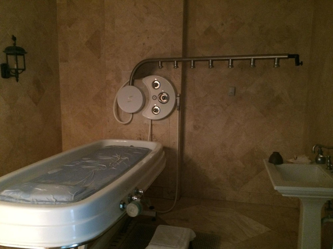 The Spa at The Palms-普罗维登西亚莱斯必去景点