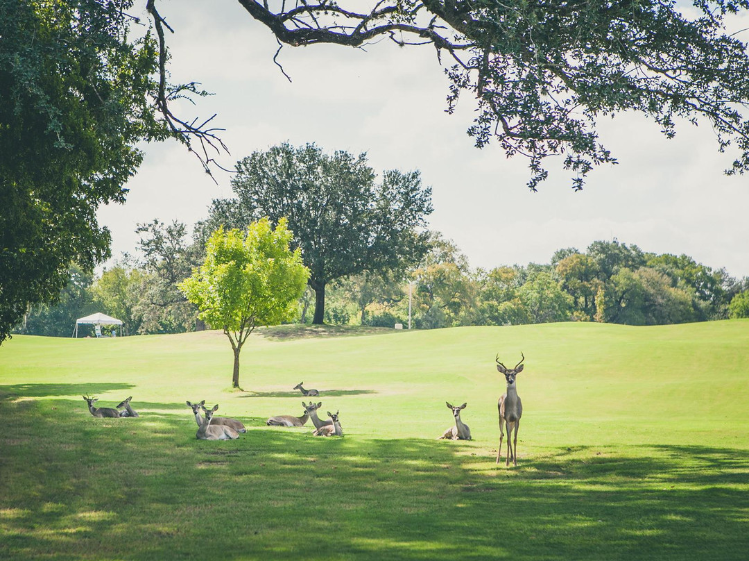 Landa Park Golf Course at Comal Springs-新布朗费尔斯必去景点
