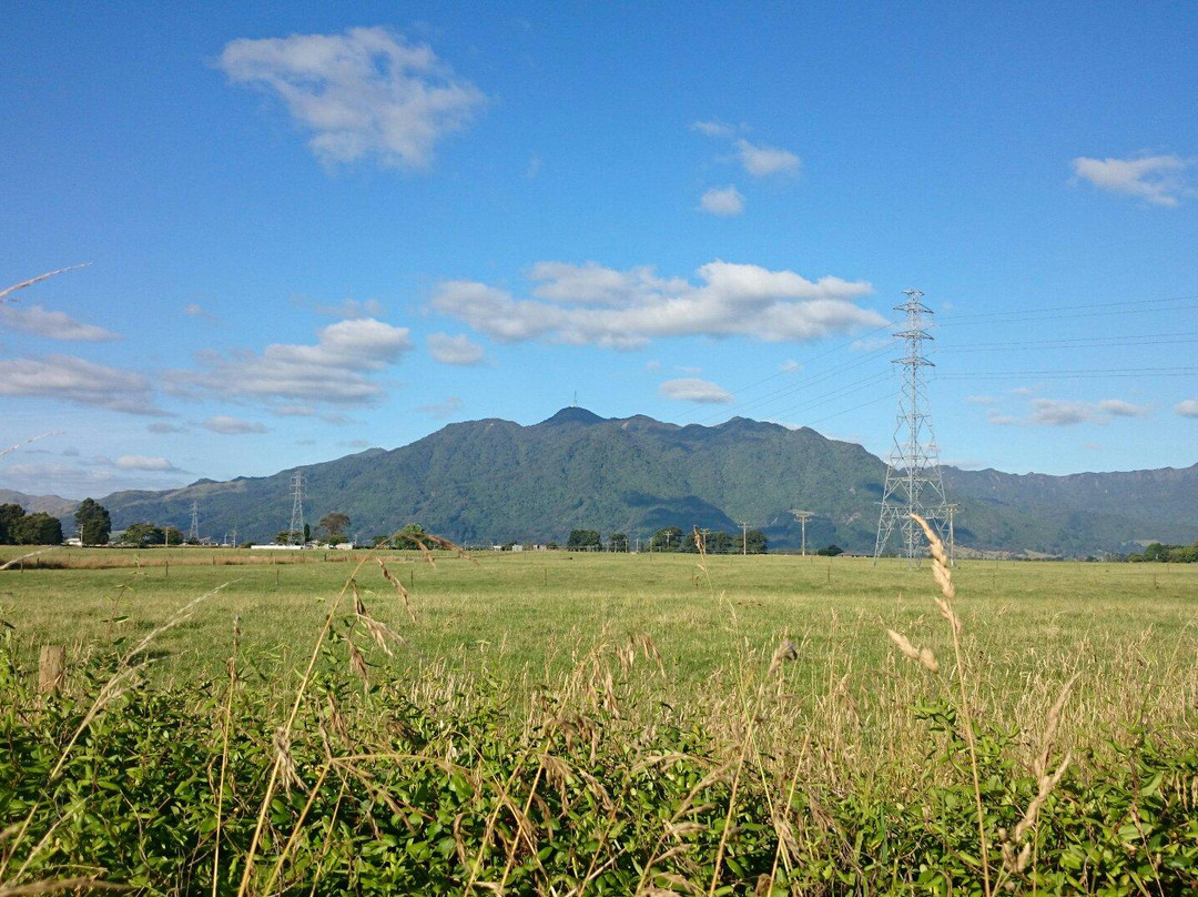 Mount Te Aroha景点图片