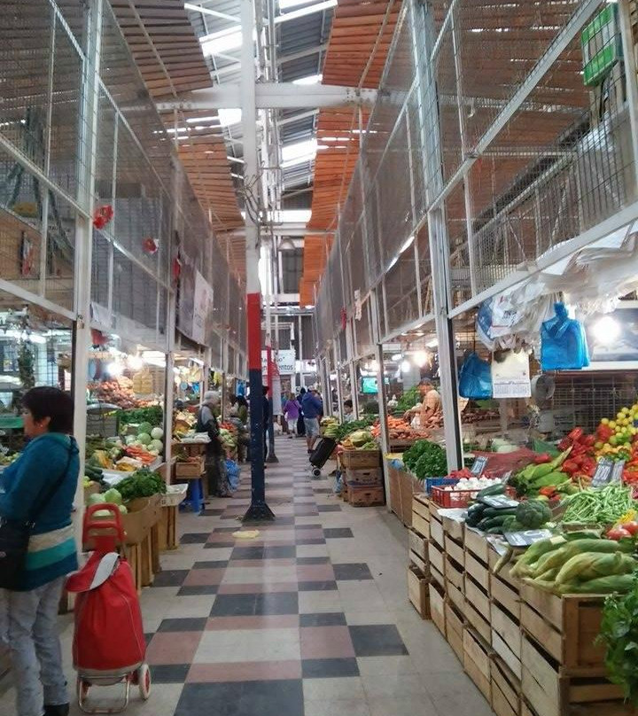 Feria Modelo de Ovalle-Ovalle必去景点