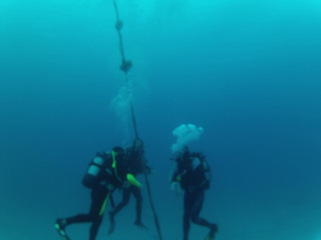 Tortuga Dive Centre-Tarajalejo必去景点