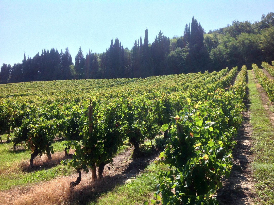 Domaine Rose et Paul景点图片