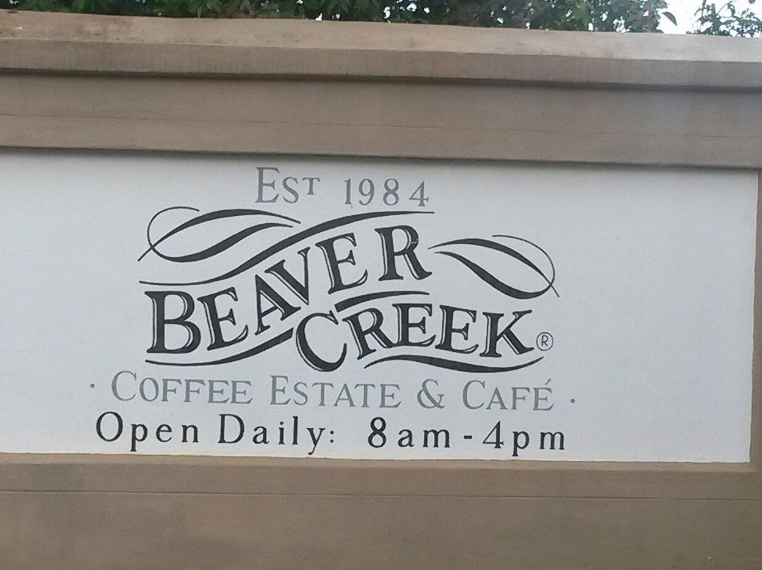 Beaver Creek Coffee Farm-Port Edward必去景点