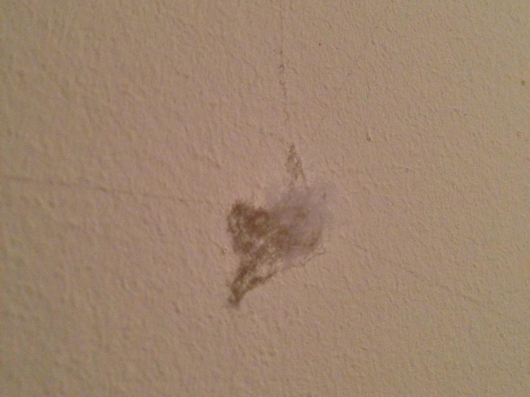 Contractors Guest House主图