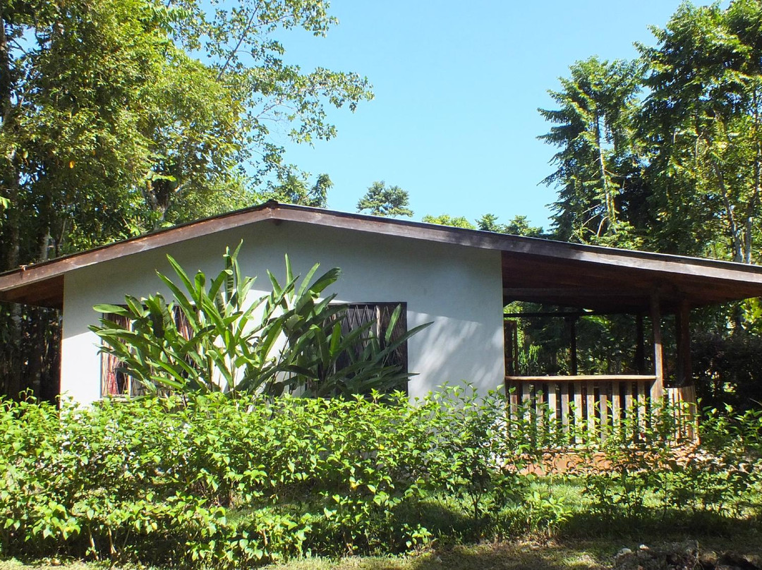 加勒比月光小屋