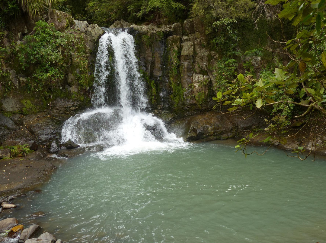 Waiau Falls Walk景点图片
