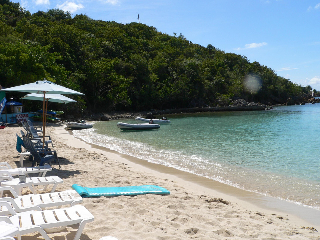 Water Island-圣 托马斯必去景点