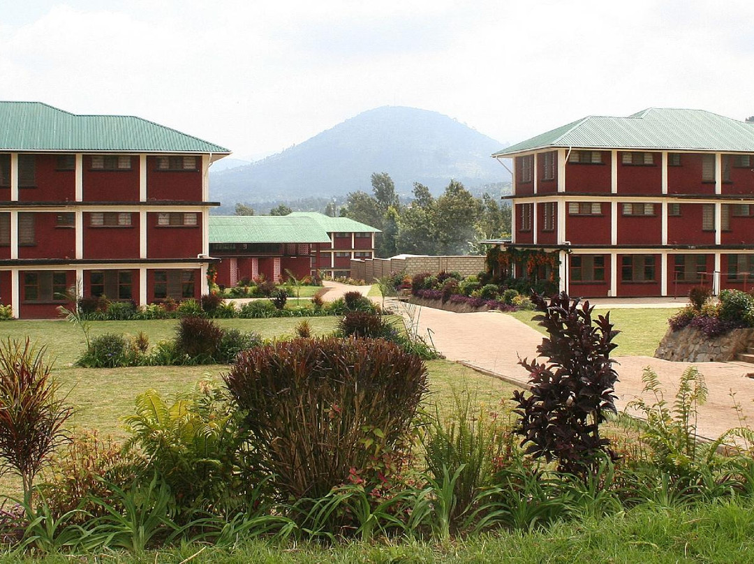 Mlangarini酒店住宿-The School of St Jude