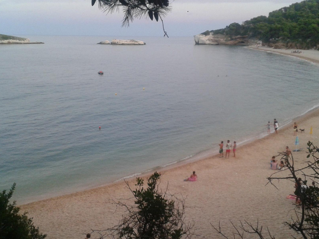 Spiaggia Baia Di Campi-维耶斯泰必去景点