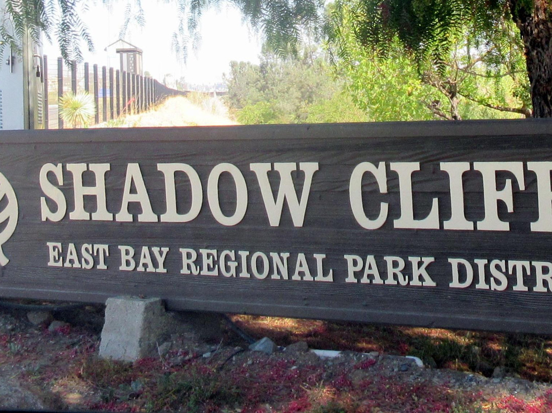 Shadow Cliffs Regional Recreation Area-普莱森顿必去景点