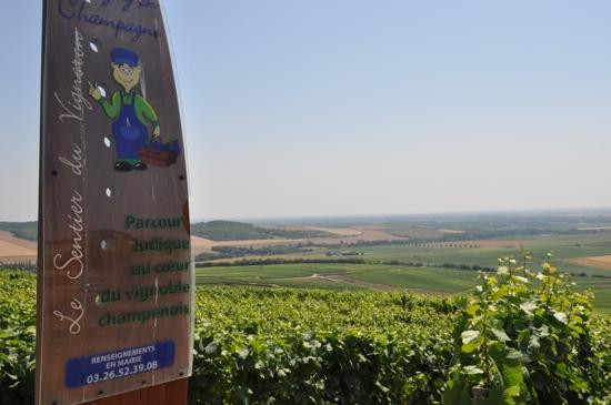 Le Sentier Du Vigneron景点图片