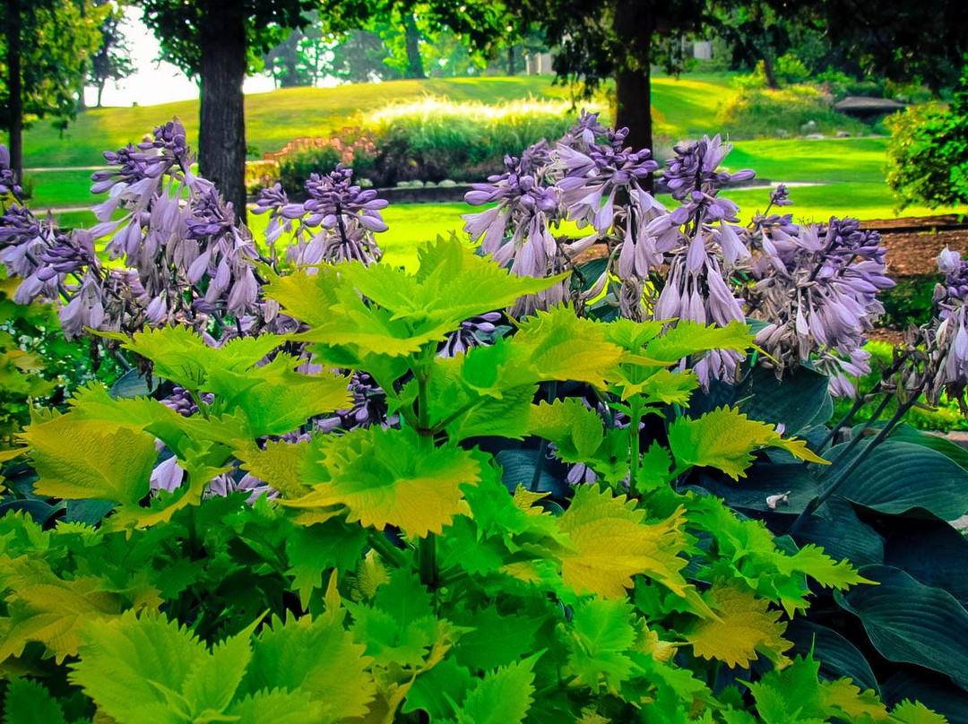 Fabyan Villa Museum & Japanese Garden-Geneva必去景点