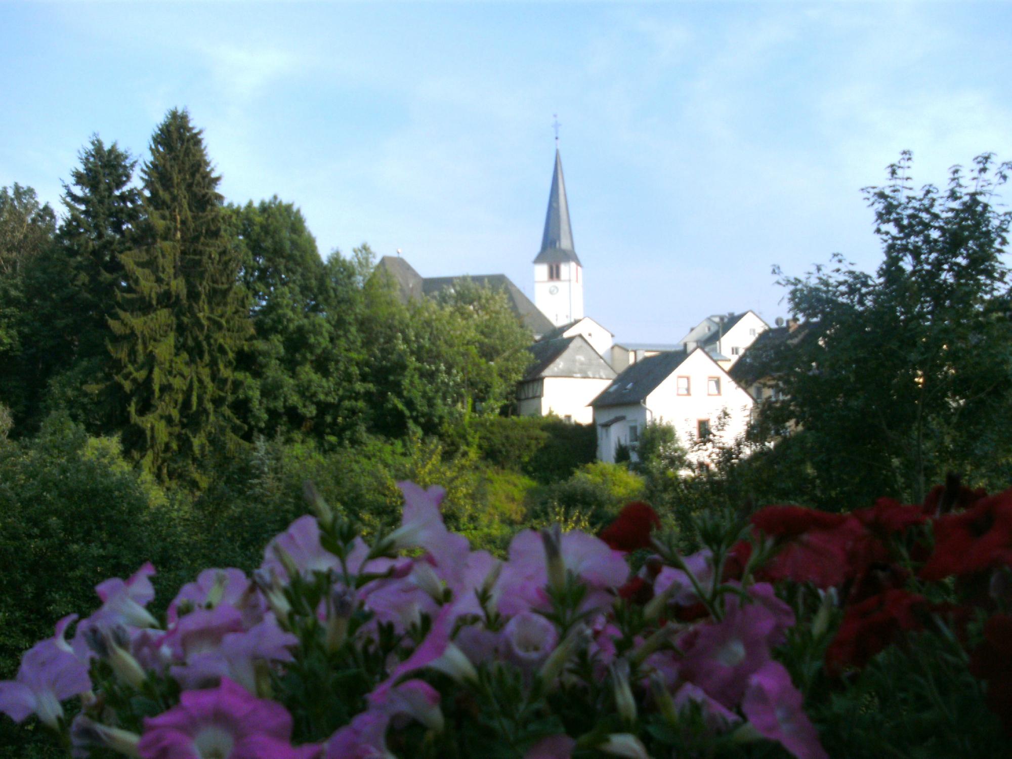 Haus Burgblick-酒店景观