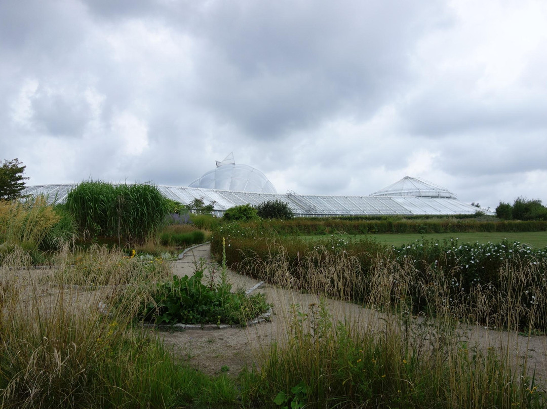 Botanical Garden and the Greenhouses景点图片