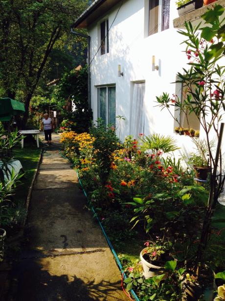 Pension Casa Anadam-客卧