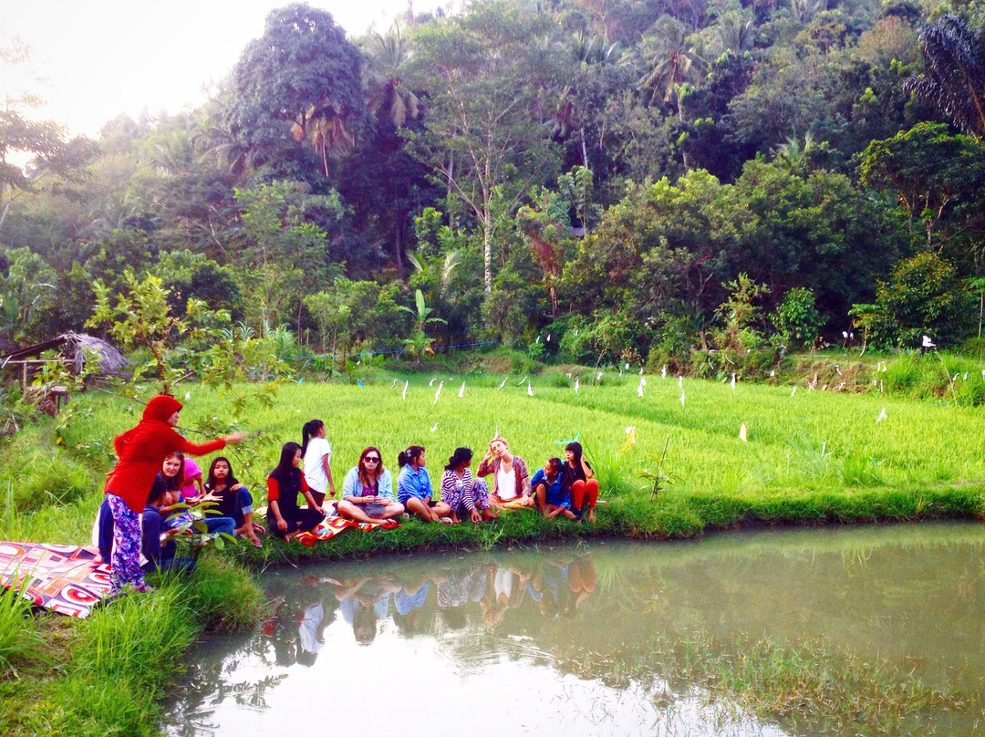 Barracuda Tours Lombok - Day Tours-龙目岛必去景点