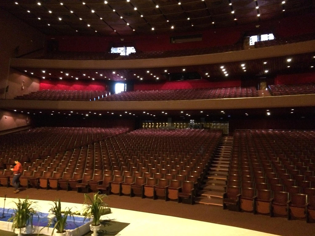 Teatro Guaira景点图片