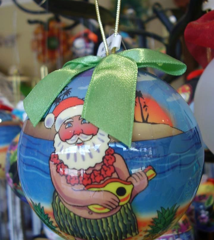 The Lazy Lizard-棕榈/鹰海滩必去景点