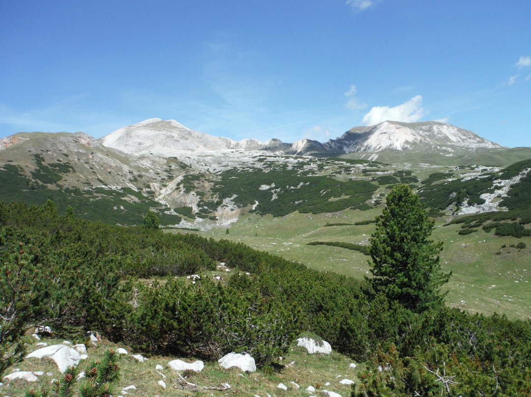 Alpe di Sennes景点图片