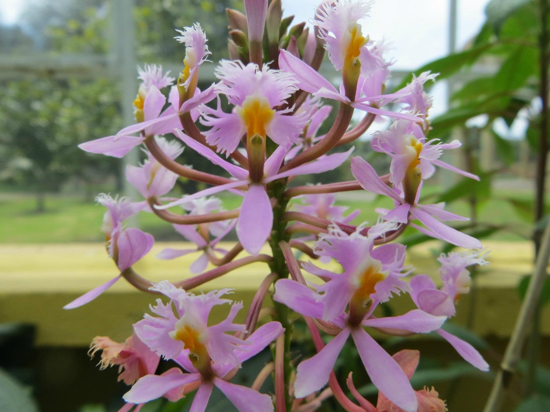 Jardin Botanico de Bogota Jose Celestino Mutis-波哥大必去景点