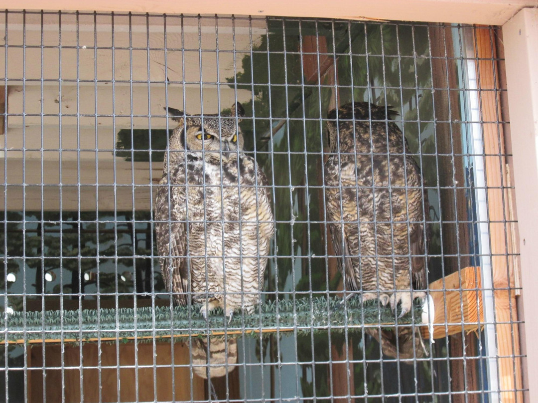 Sunriver Nature Center-太阳河必去景点