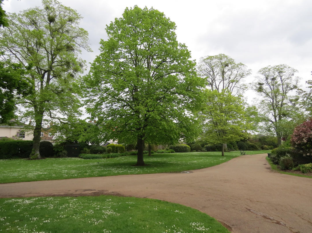 Vivary Park-汤顿必去景点