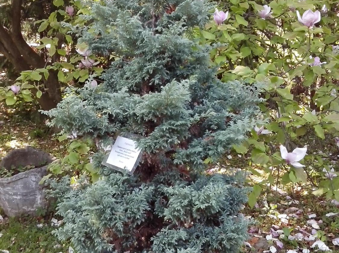 Uzhgorod University Botanic Garden-乌日霍罗德必去景点