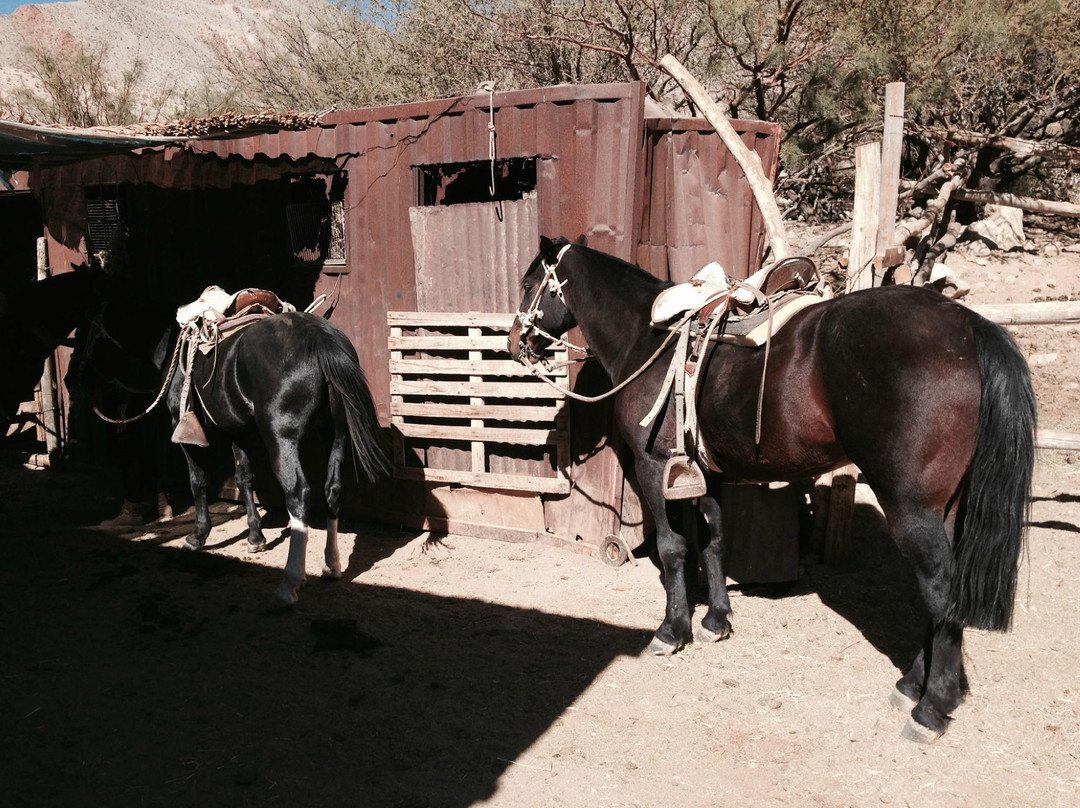 Alcohuaz Expediciones-Pisco Elqui必去景点