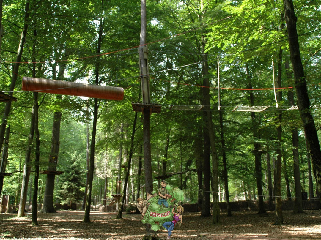 La Forêt Des Défis景点图片